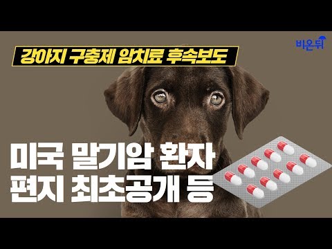 강아지 구충제 암 치료 후속보도 - 미국 말기암 환자 편지 최초공개