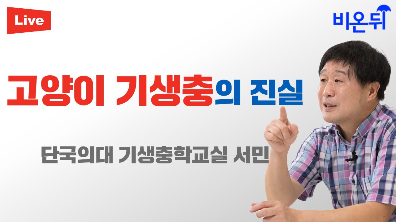 고양이 기생충, 많이 위험할까요?[서민 촌철의학 시즌2](단국의대 기생충학교실 서민)