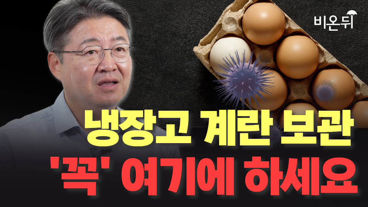 냉장고 속 계란 보관, '꼭' 여기에 하세요 / 연세대학교 시스템생물학과 김응빈 교수